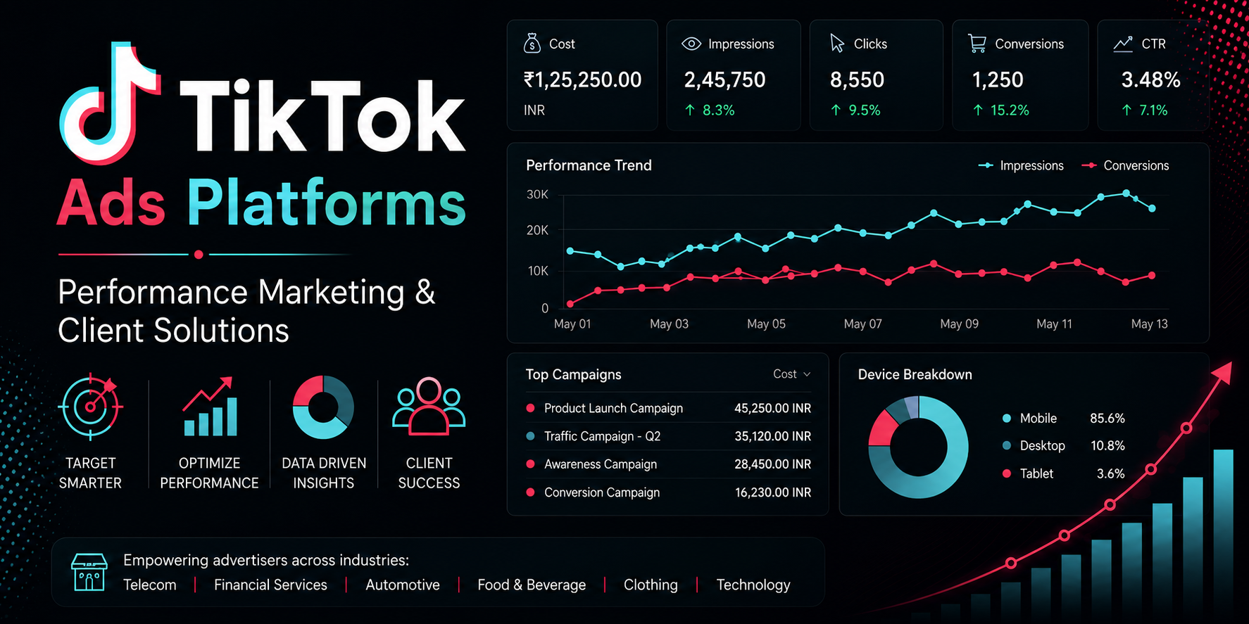 TikTok Ads and technical support project